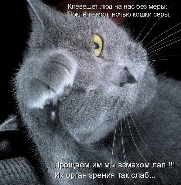 Мысли вслух :)