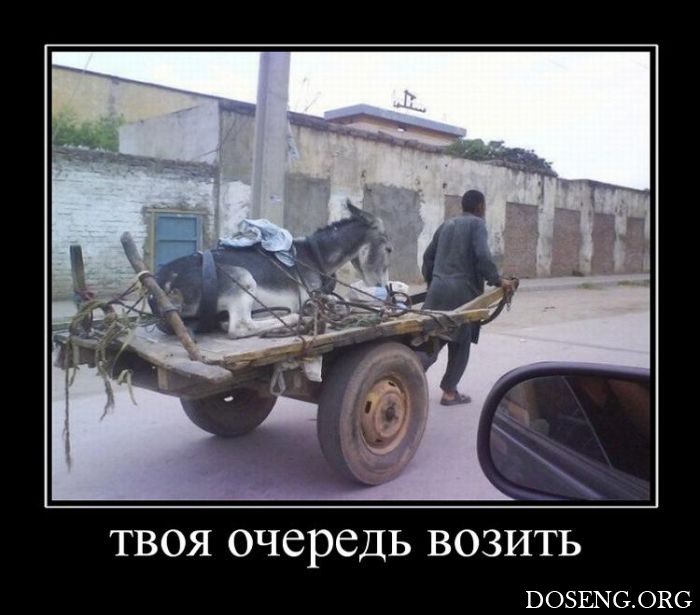 Демотиваторы
