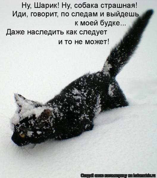 Мысли вслух :)