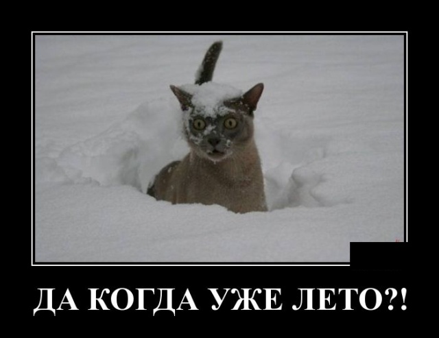 Прощайте людям всё, пусть подавятся вашим великодушием веселые картинки