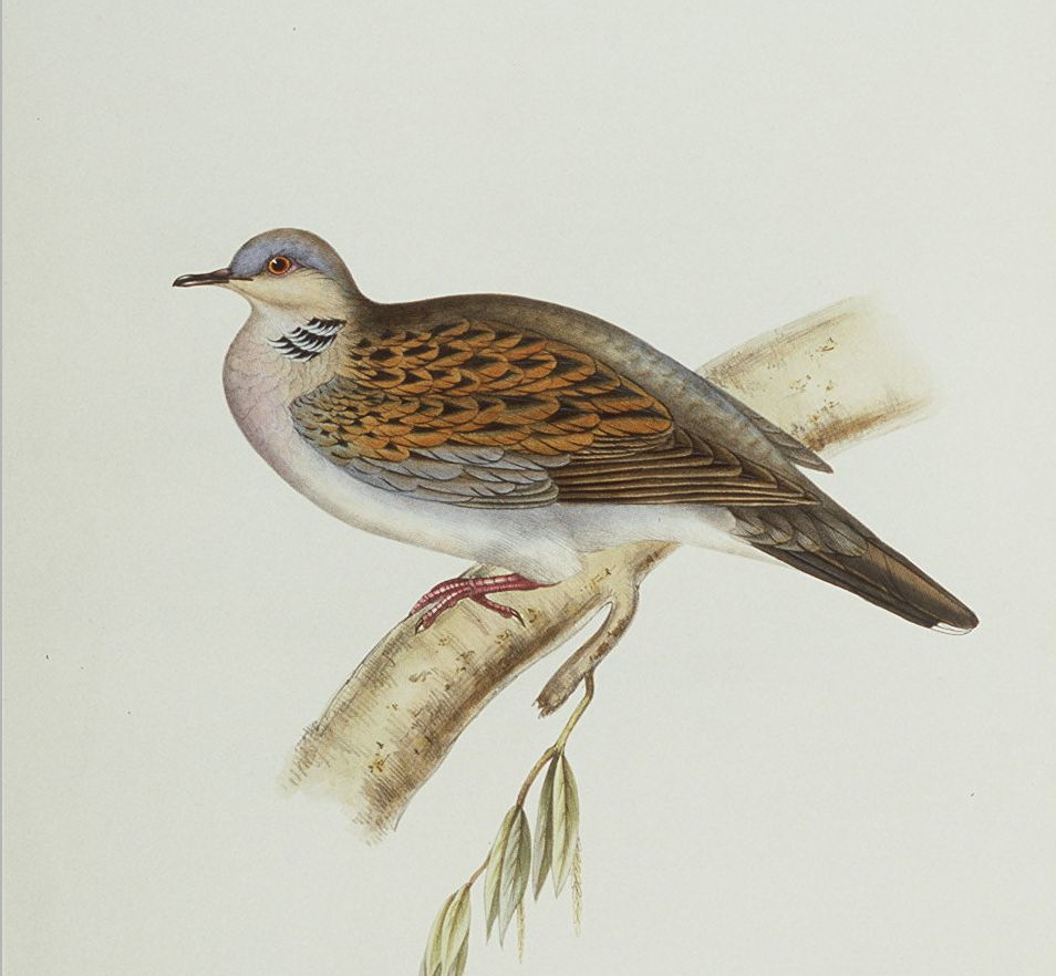 Воскресные охотники. Часть вторая