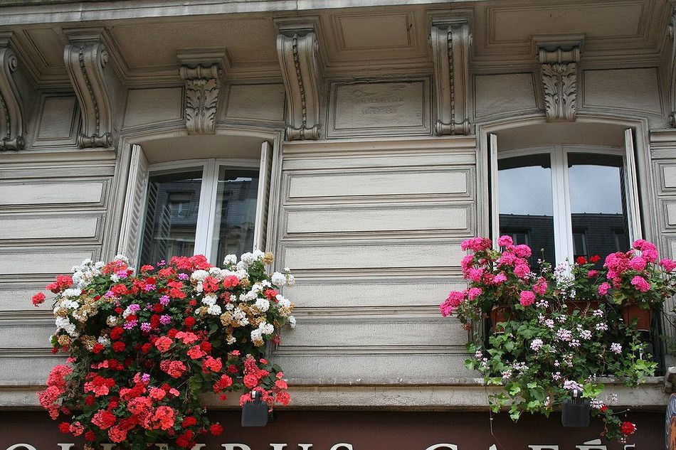 Краски Парижа. Вдохновение улиц Краски Парижа. Вдохновение улиц европа