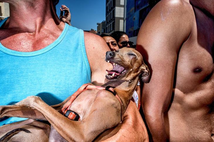 Победители фотоконкурса LensCulture Street Photography Awards 2017 5