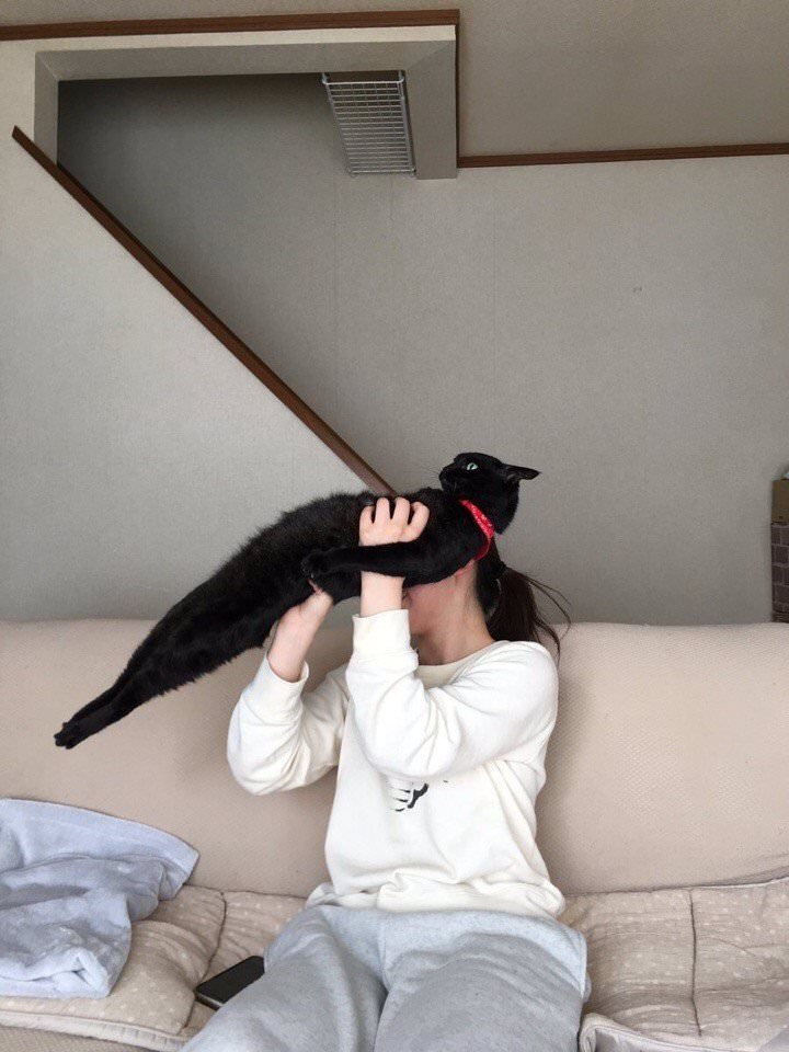 Прикольные фотографии - воскресный выпуск 