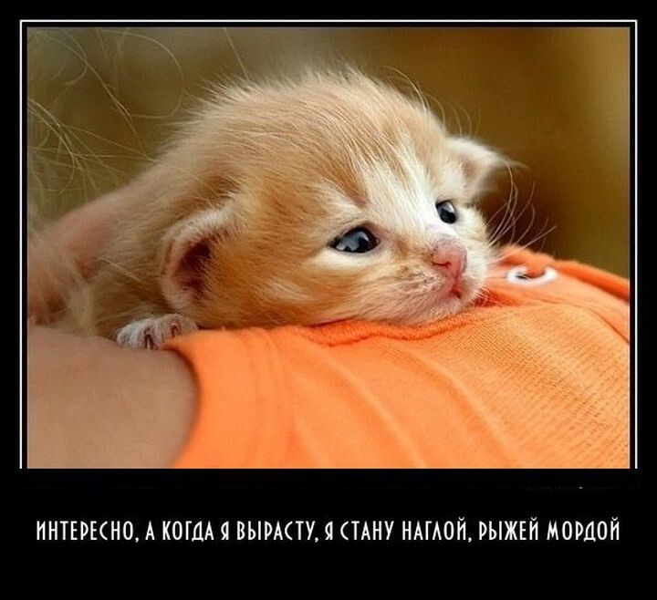 Демотиваторы для всех: «Ну и какая же сегодня погода?» 