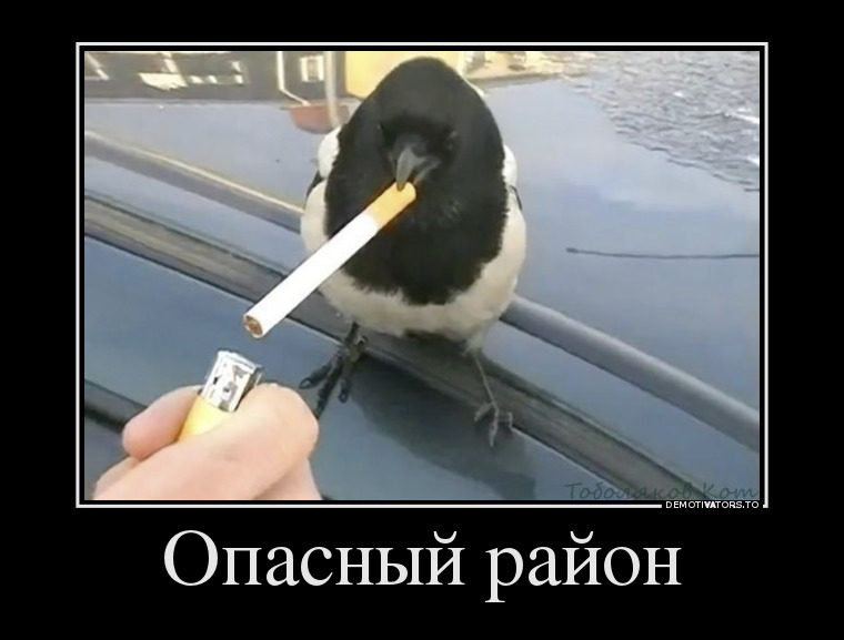 Опасный район демотиватор, юмор