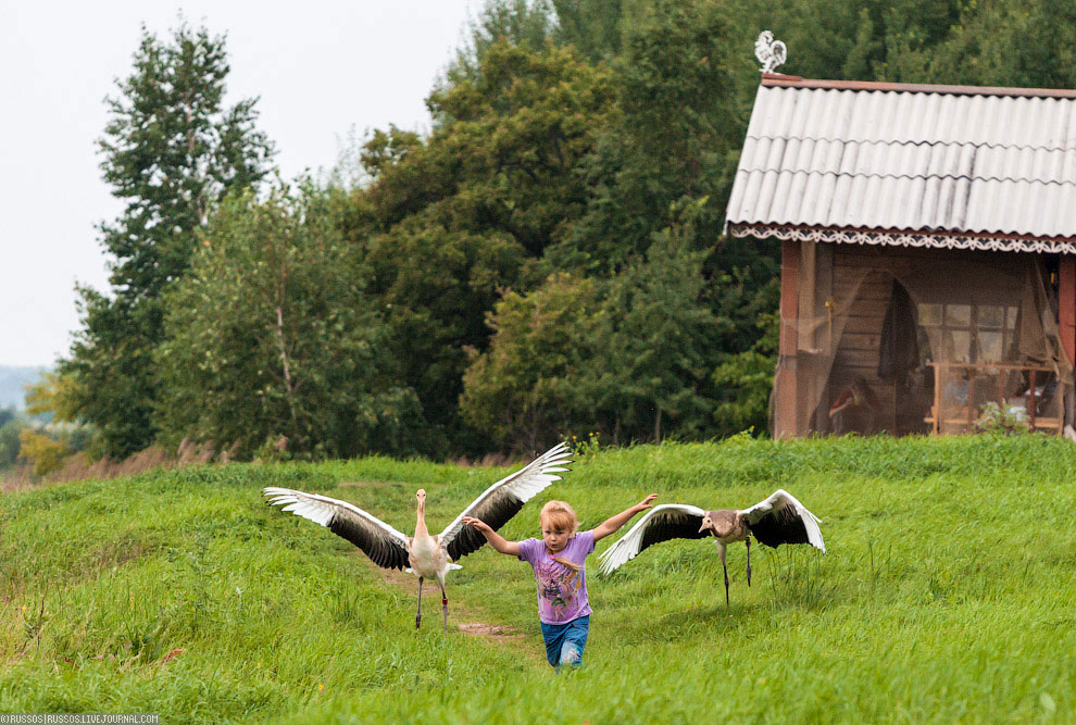 Хинганский заповедник на Дальнем Востоке Хинганский заповедник на Дальнем Востоке Путешествия,фото