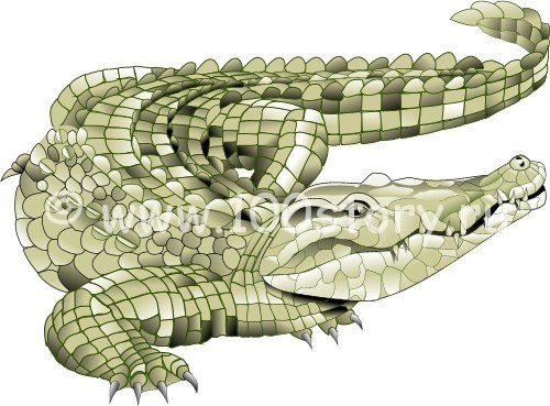 Машка-крокодилица