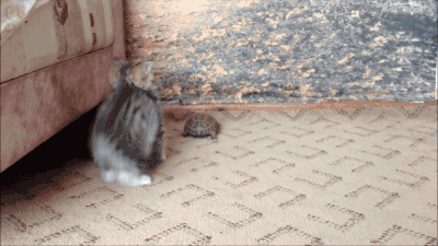 Подборка жизненных гифок на выходные 