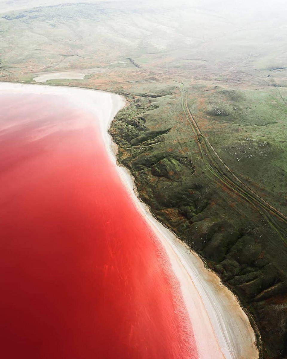 8 завораживающих фото розового Чокракского озера, которое находится в Крыму 8 завораживающих фото розового Чокракского озера, которое находится в Крыму путешествие,туризм