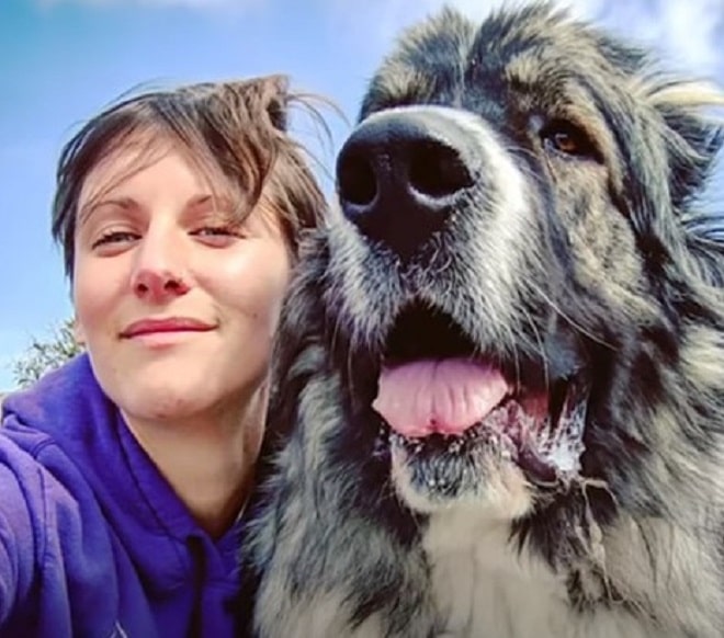 Волонтер с собакой