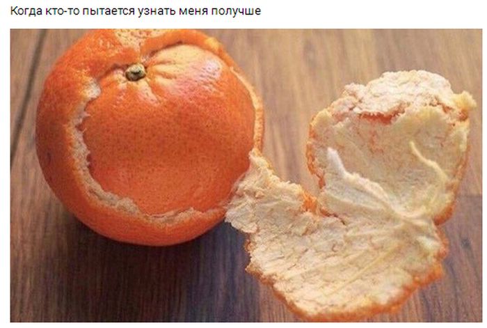 Забавные картинки с надписями для веселья (11 фото)