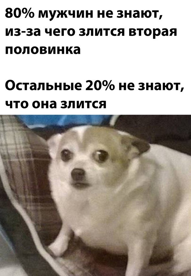 Подборка прикольных картинок  приколы,смешные картинки,юмор