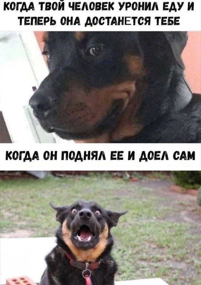 Смешные картинки с надписями и физика для чайников Смешные картинки с надписями и физика для чайников