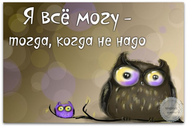 Роза, вредный картинки с надписью