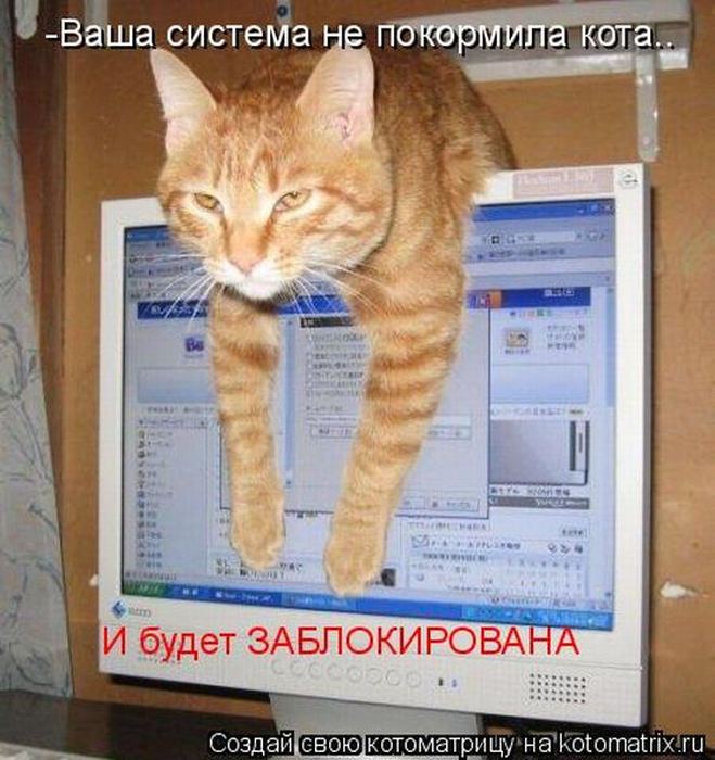 Мысли вслух :)