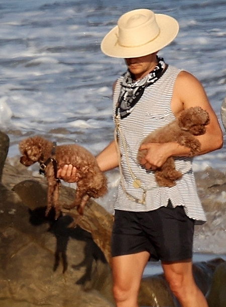 Пара с собачками: Кэти Перри и Орландо Блум прогулялись по пляжу Санта-Барбары Орландо, Перри, именно, папарацци, своей, очень, должна, потому, время, когда, семьей, малышом, здесь, сейчас, смотришь, выглядит, можешь, жизни, стараешься, позаботиться