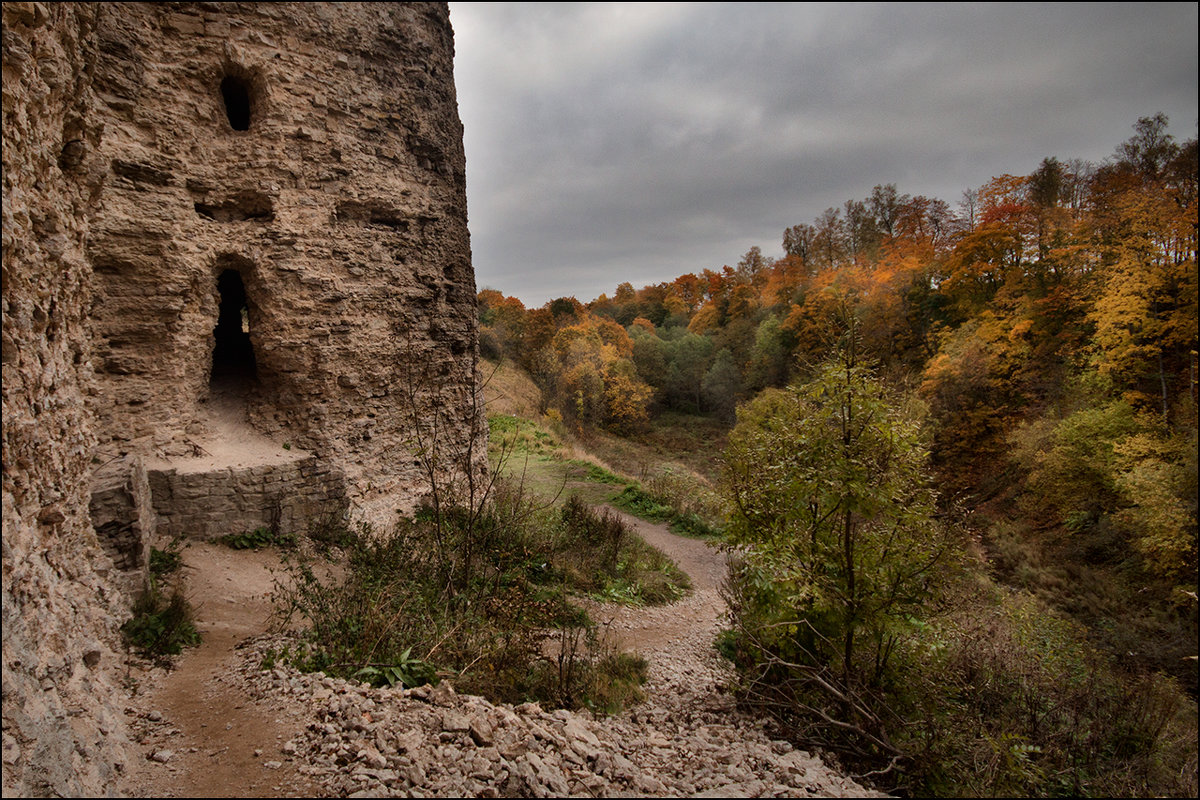 Крепости ленинградской области фото