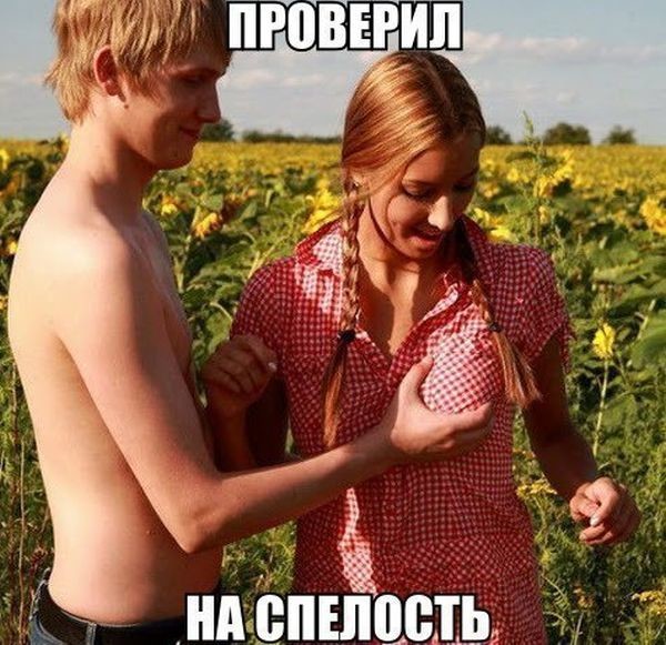 Картинки с надписями мем, прикол, юмор