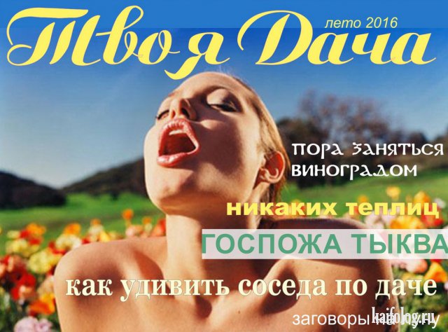 Русские приколы и маразмы