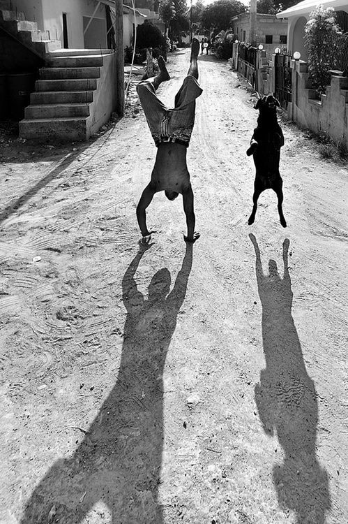 Лови момент или мастерство фотографа Лови момент или мастерство фотографа фотография