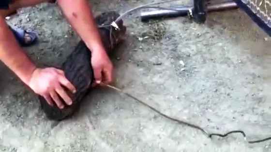 Выравнивание проволоки толстой легко своими руками
