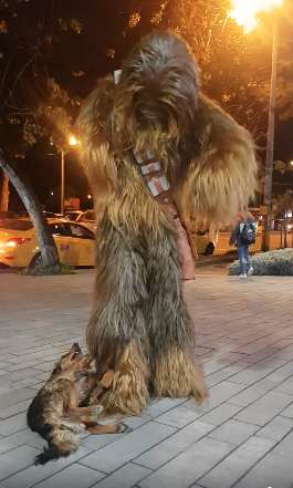 пес и чубакка