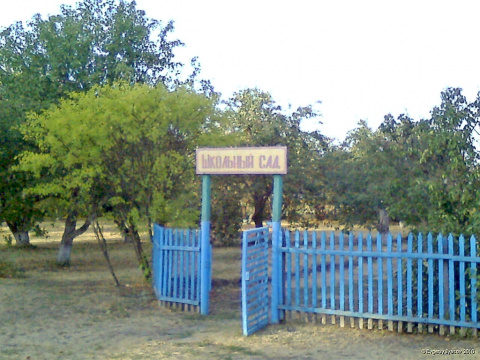 Школьный сад в Падах