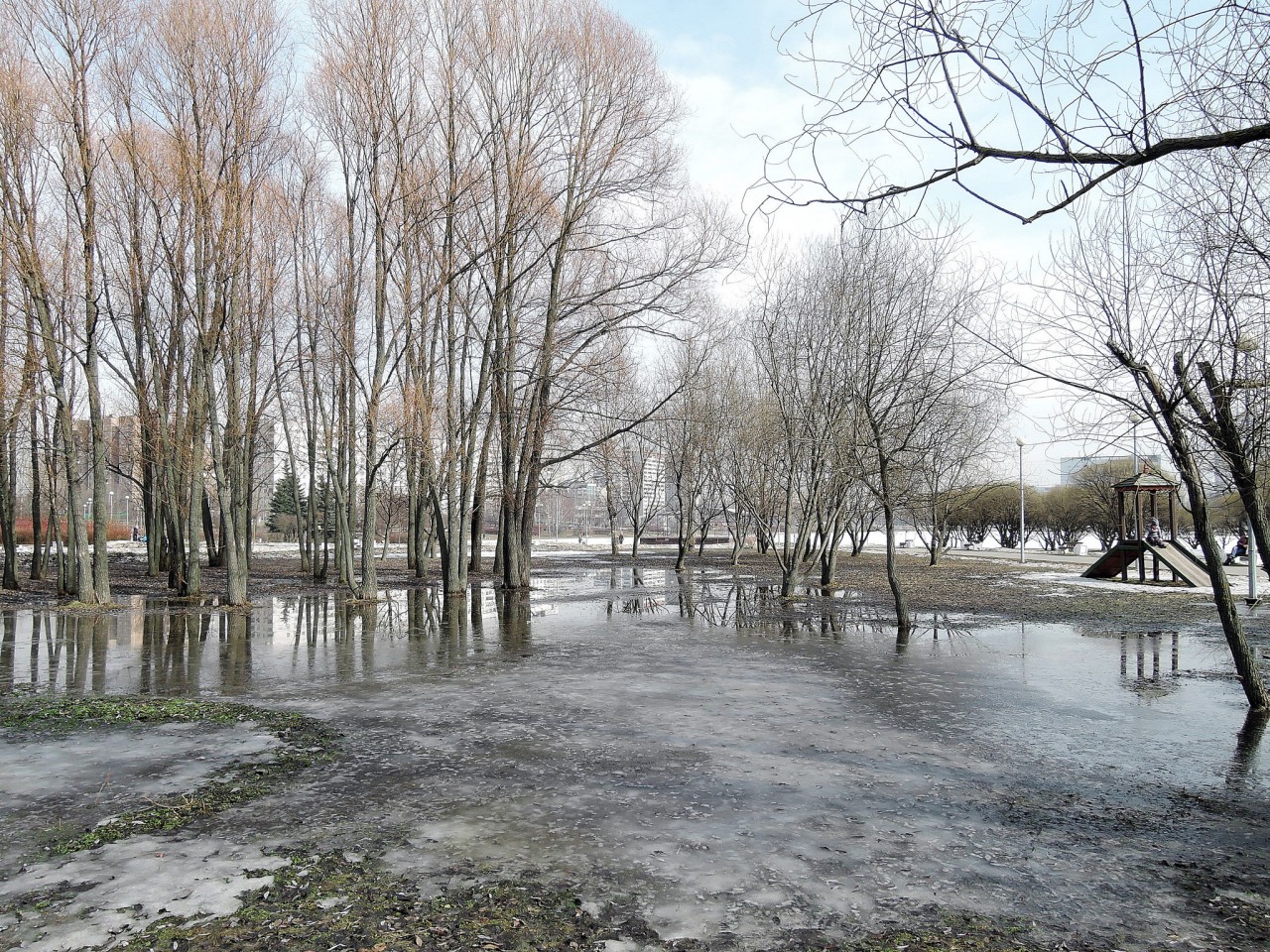 Гольяновский парк. Развезло.