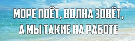 Прикольная фотоподборка (55 фото)