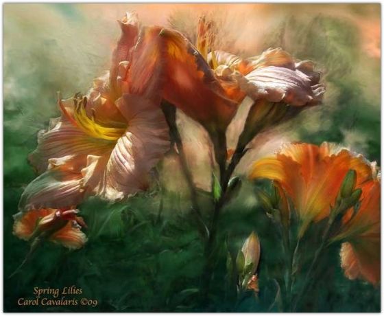 �������� �������� ����� ���������