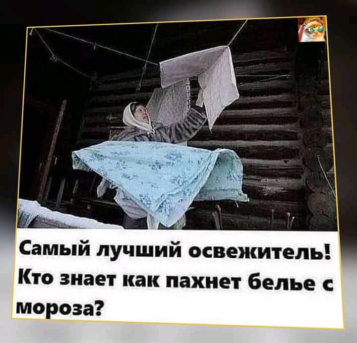 Внутри меня столько тепла и нежности, что хочется её кому-то дарить… говорит, женщина, Конечно, тундре, колдунов, Каждый, готовим, поделку, конкурс, Прощай, осеньЧеловек, изнемогая, усталости, мороза, плетётся, Кончились, землю, закричал, голос, Лю—ю—ди—и