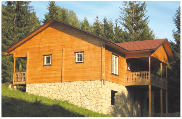 zokol.jpg 5.jpg