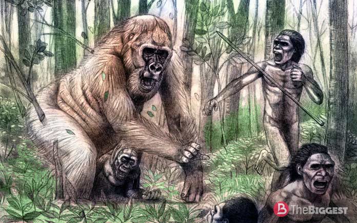 Гигантопитеки - тайны самых больших обезьян в истории Гигантопитеки - тайны самых больших обезьян в истории