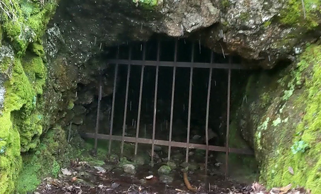 В глухом лесу прохожие нашли решетку в скале и попробовали зайти в спрятанную за ней пещеру. Видео