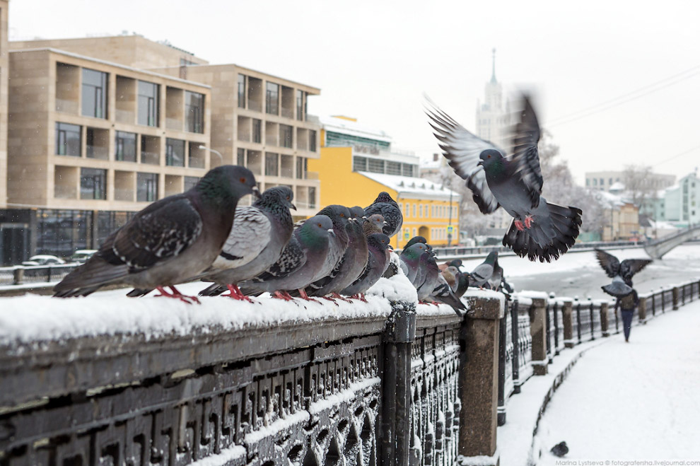 Москва после снегопада