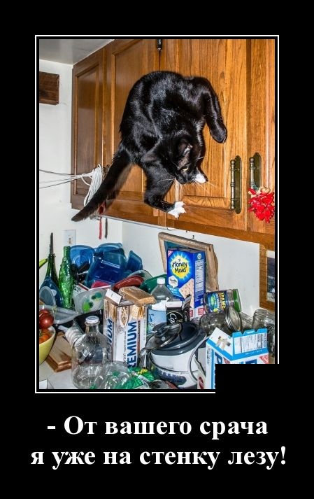 - Что означают пятна на Солнце? - Окна пора мыть! - Что означают пятна на Солнце? - Окна пора мыть! анекдоты,демотиваторы,приколы