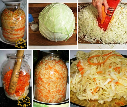 Как приготовить квашеную или салатную капусту в банке