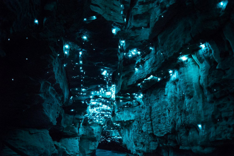 Уникальная пещера в Новой Зеландии, которой 30 миллионов лет пещера, удивительные