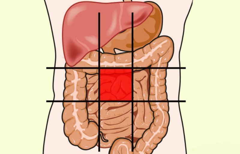 Боль в животе? Посмотрите на карту брюшной полости и определите недуг