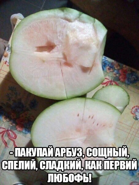 Смехопанорама Писца. Полный улёт!