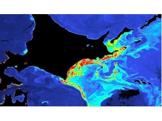 Пора запретить Гринпис в России