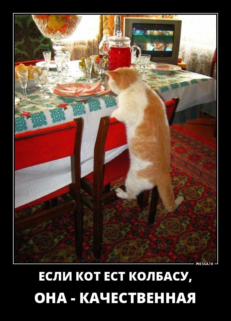 Забавные позитивные демотиваторы для хорошего настроения Забавные позитивные демотиваторы для хорошего настроения