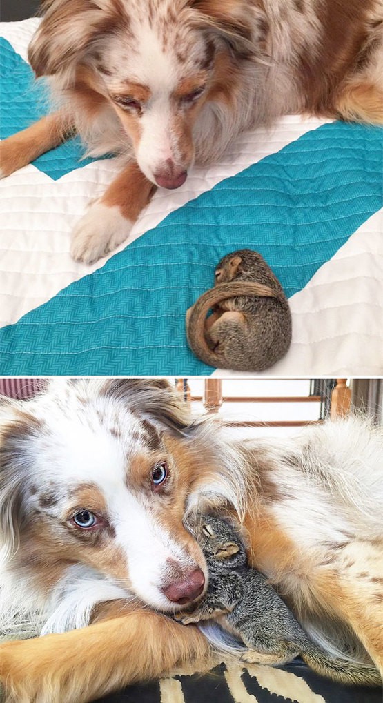 Callie And Stewart Then And Now