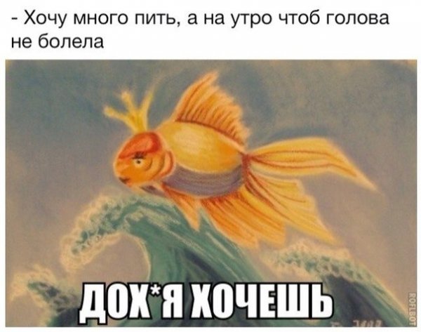 Алкогольный угар