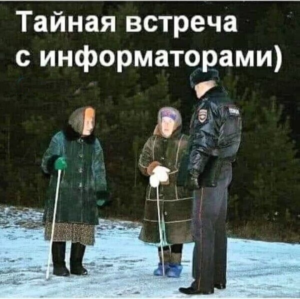Шутки, анекдоты и забавности, способные поднять настроение на максимум 