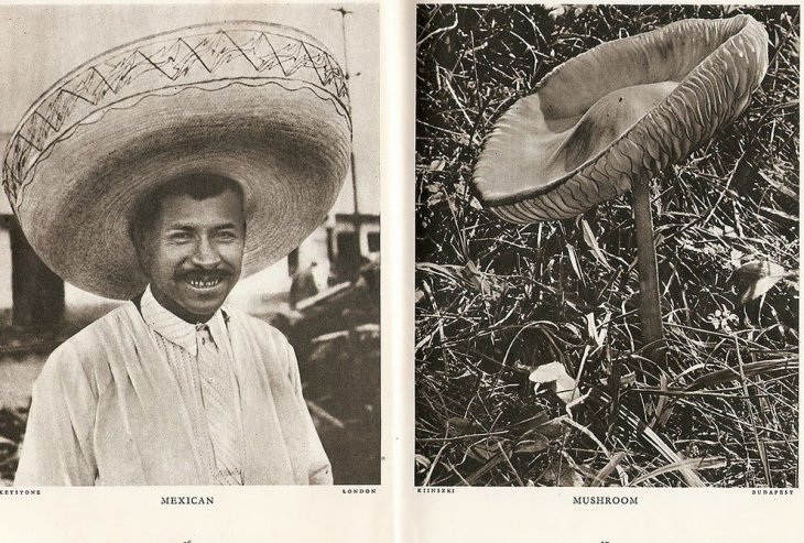 Истории без слов - фотографии из журнала "Лилипут" 1937 года 