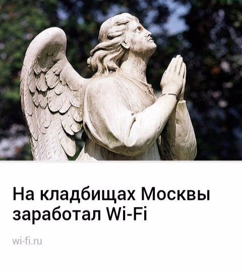 Руководство кладбищ всегда очень неоднозначное кладбище, прикол, смерть, юмор