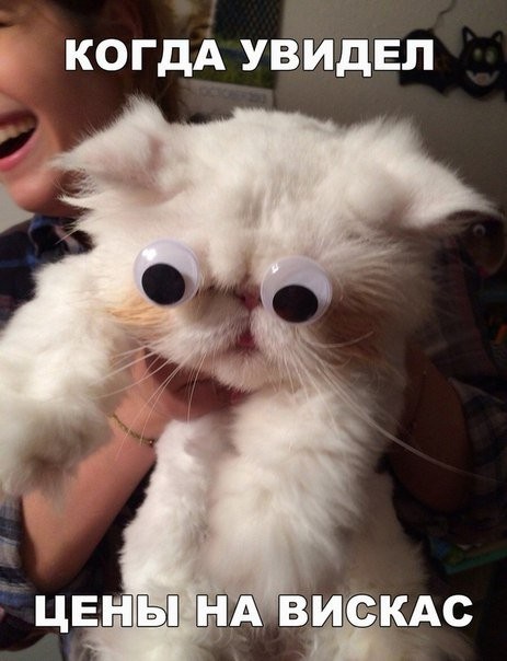 Прикольное фото демотеваторы, приколы, фото