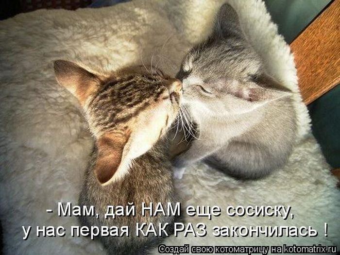 Мысли вслух :)